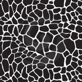 Animal Skins - Patterned HTV (18 Designs) - ScriptDesigns - 2