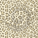 Animal Skins - Patterned HTV (18 Designs) - ScriptDesigns - 9