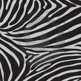 Animal Skins - Patterned HTV (18 Designs) - ScriptDesigns - 14