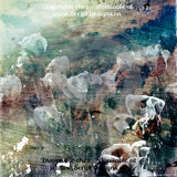 Grunge Series 2 - Patterned HTV (14 designs available)