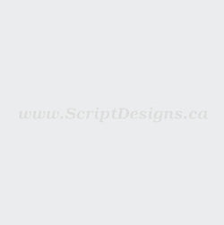 010 White - Oracal 651 Vinyl - ScriptDesigns - 1