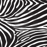 Animal Skins - Patterned Adhesive Vinyl (18 Designs) - ScriptDesigns - 13