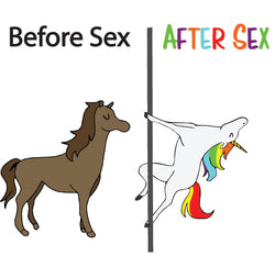 Avant le sexe / Après le sexe HTV Decal