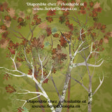 Mossy Woods - HTV à motifs (16 modèles différents disponibles)
